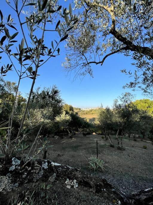 Villa Maria, Casa Rural En Cazalla De La Sierra. Extérieur photo